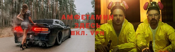 стаф Алзамай