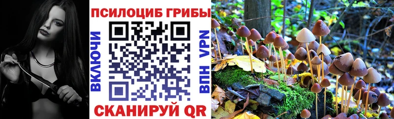дарк нет официальный сайт  Благовещенск  Галлюциногенные грибы Cubensis  продажа наркотиков  ссылка на мегу ССЫЛКА 