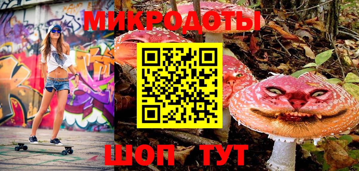 Галлюциногенные грибы Psilocybine cubensis Благовещенск