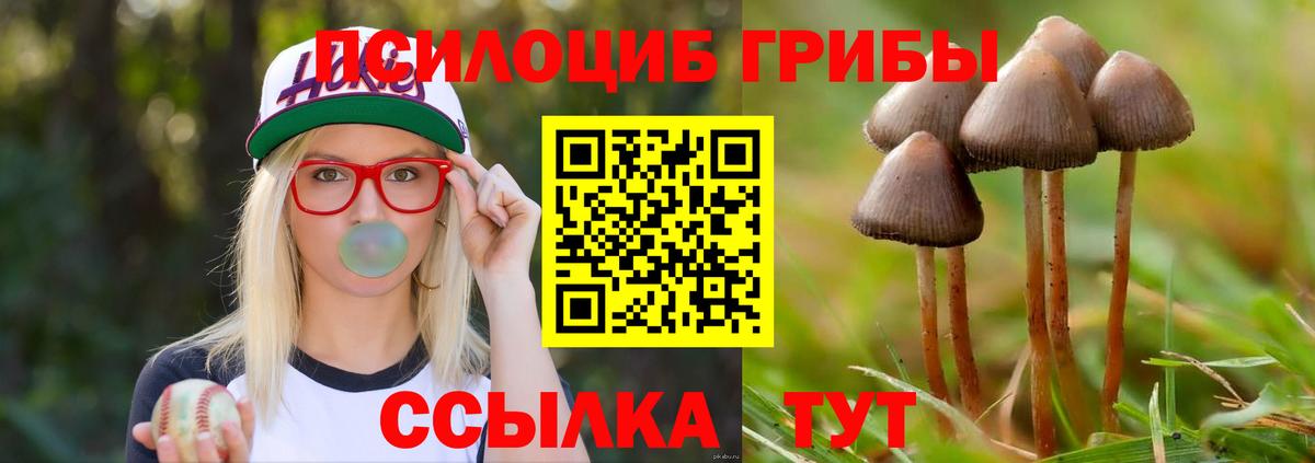 Благовещенск  Галлюциногенные грибы Psilocybe  Вход с VPN 